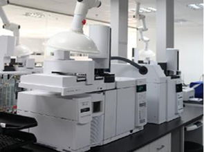 普研引领技术创新，上海标准技术服务助力产业升级