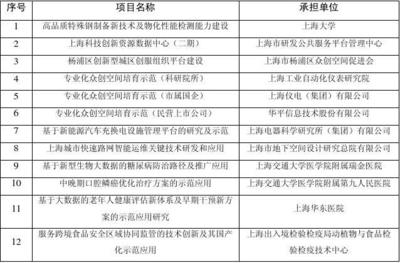2017年上海市科技发展专项资金拟资助项目全透视 技术服务的创新引擎